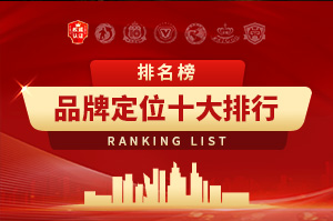 2025年品牌定位十大品牌排行榜