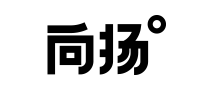 整合营销传播十大品牌-向扬
