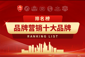 2025年品牌营销十大品牌排行榜